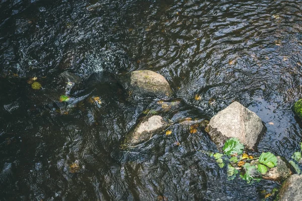 Un torrente di montagna con una corrente rapida in una foresta verde estiva — Foto Stock