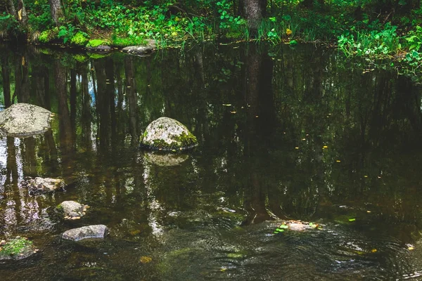 Un torrente di montagna con una corrente rapida in una foresta verde estiva — Foto Stock