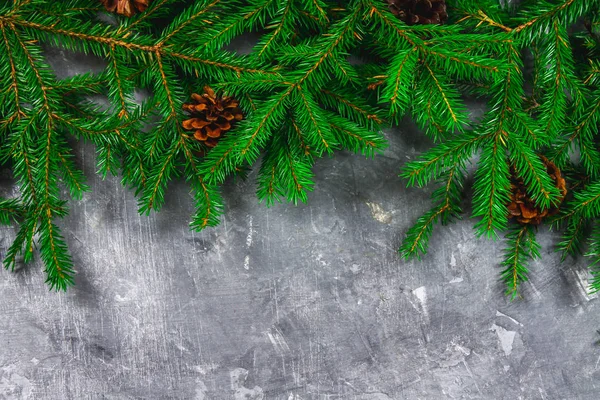 회색 콘크리트 배경 위에 봉우리를 스프루 스 새 해 분기 합니다. 새 해 크리스마스입니다. 텍스트에 대 한 여유 공간. — 스톡 사진