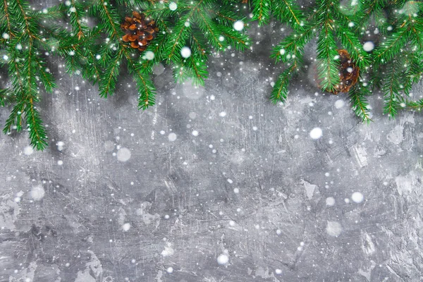 Spruce nyår grenar med kottar ovanpå en grå betong bakgrund. Nytt år jul. Ledigt utrymme för text. — Stockfoto