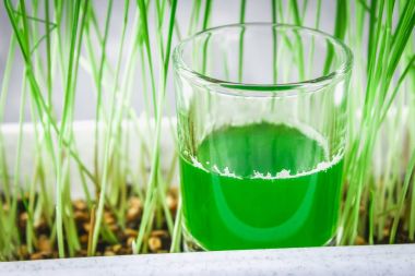 Buğday çimi vurdu. Buğday çimen suyu. Sağlık eğilimini.