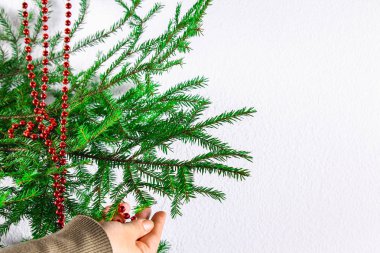Yeni yıl kırmızı boncuklar bir Noel ağacı üzerinde beyaz bir arka plan üzerinde asılı kız.