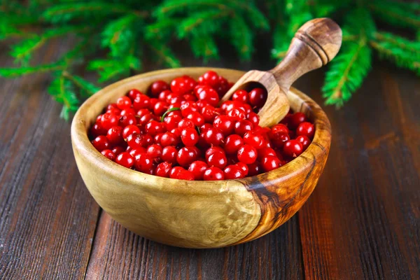Cowberry, foxberry, cranberry, lingonberry em uma tigela de madeira com uma colher em uma mesa de madeira marrom. Rodeado por ramos de abeto . — Fotografia de Stock
