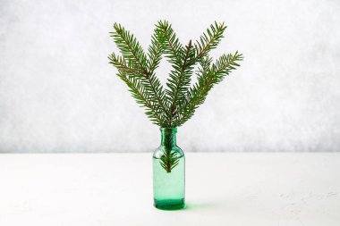 Noel süslemeleri şişe içinde tablo, çam dalı.