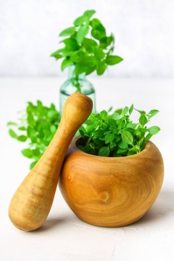 Hafif bir arka plan üzerinde ahşap bir harç yeşil limon fesleğen. Fesleğen şişe.