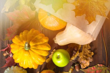 Sonbahar doğa kavramı. Güz pumpkins ve ahşap rustik masa üzerinde elma. Şükran günü yemeği.