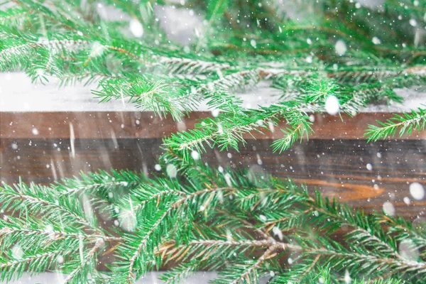 Röd nyår kottar ligga på en trähylla brun som är omgiven av fir grenar. — Stockfoto