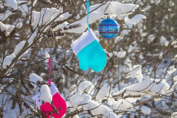 Синие и розовые варежки висят на ветках со снегом. Рождественские игрушки . — стоковое фото