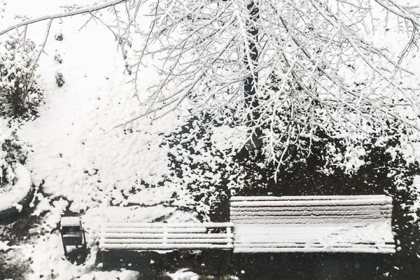 Первый снег. Снежинки в воздухе. Белые ветки на деревьях. Зима . — стоковое фото