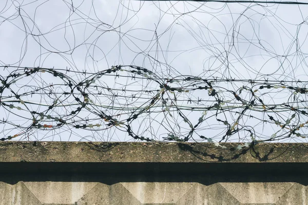Barbed wire. Barbed wire on fence with blue sky to feel worrying. — Stock Photo, Image