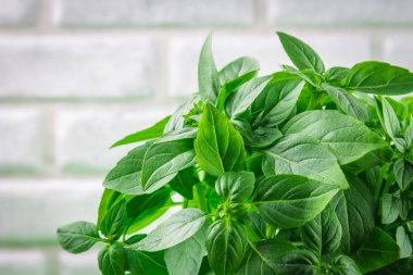 Bir tuğla duvar arka plan beyaz bir beton masada yeşil limon fesleğen demet