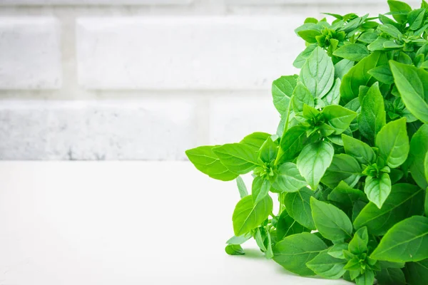 Bir tuğla duvar arka plan beyaz bir beton masada yeşil limon fesleğen demet