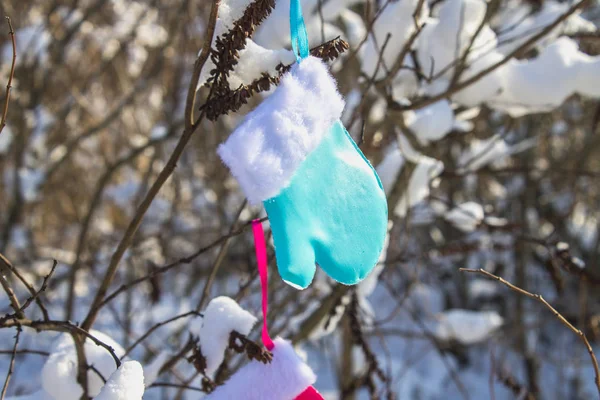 蓝色和粉红色的手套挂在树枝上雪。圣诞玩具. — 图库照片