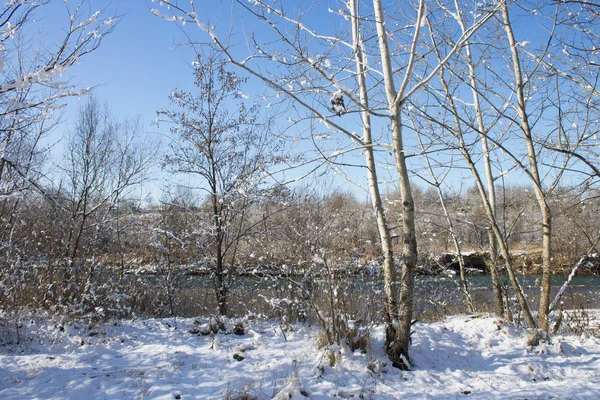 阳光明媚的日子里, 第一雪下的冬季自然. — 图库照片