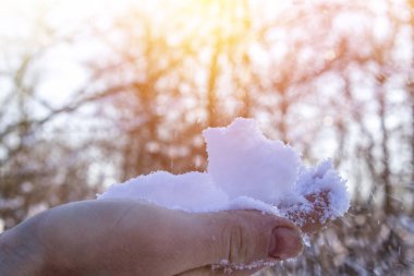 Beyaz kar kış ormandaki bir yandan.