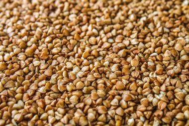 Dokular ham buğday taneleri üzerinden. Sağlıklı gıda. Üstten Görünüm.