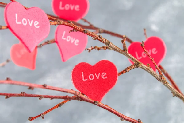 Corazones rojos con una inscripción El amor cuelga de las ramas sobre un fondo gris de hormigón. Árbol de amor. El concepto del Día de San Valentín. Un símbolo de amor . — Foto de Stock