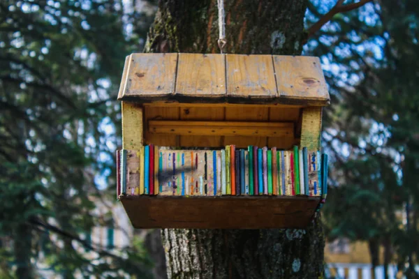 Een creatieve houten Vogelhuis/waterbak in het park. — Stockfoto