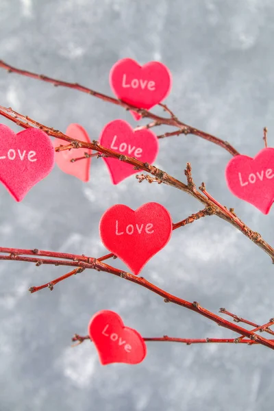 Corazones rojos con una inscripción El amor cuelga de las ramas sobre un fondo gris de hormigón. Árbol de amor. El concepto del Día de San Valentín. Un símbolo de amor . — Foto de Stock