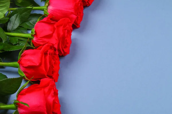 Рожеві троянди на сірому тлі, на пастельних паперу. Скопіюйте простір для тексту. Шаблон для 8 березня, день матері. — стокове фото