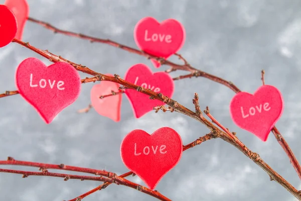 Corazones rojos con una inscripción El amor cuelga de las ramas sobre un fondo gris de hormigón. Árbol de amor. El concepto del Día de San Valentín. Un símbolo de amor . — Foto de Stock