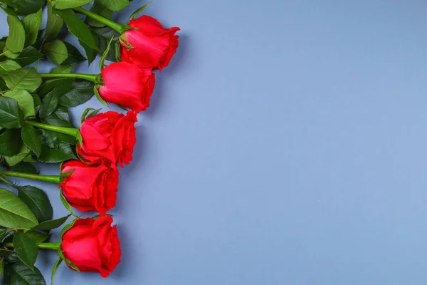 Рожеві троянди на сірому тлі, на пастельних паперу. Скопіюйте простір для тексту. Шаблон для 8 березня, день матері. — стокове фото