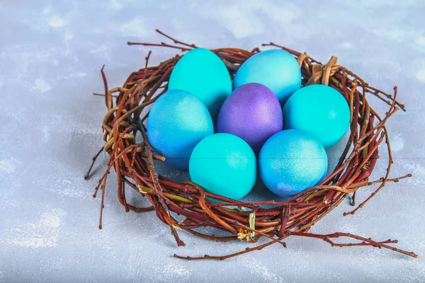 Oeufs de Pâques bleus dans un nid avec des fleurs blanches sur un fond de béton gris . — Photo