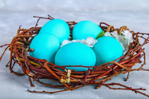 Oeufs de Pâques bleus dans un nid avec des fleurs blanches sur un fond de béton gris . — Photo