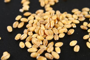 Pearl arpa ile siyah yazı tahtası üzerinde bir avuç kuru.