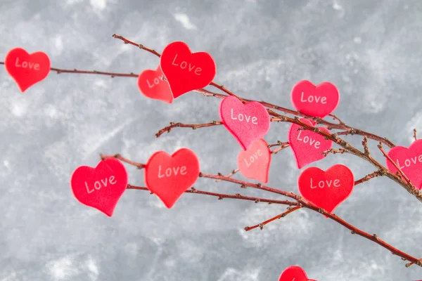 Corazones rojos con una inscripción El amor cuelga de las ramas sobre un fondo gris de hormigón. Árbol de amor. El concepto del Día de San Valentín. Un símbolo de amor . — Foto de Stock