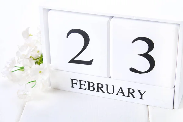 Calendario de madera blanca con negro 23 febrero palabra con reloj y planta sobre tabla de madera blanca . —  Fotos de Stock