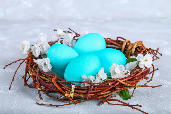 Oeufs de Pâques bleus dans un nid avec des fleurs blanches sur un fond de béton gris . — Photo