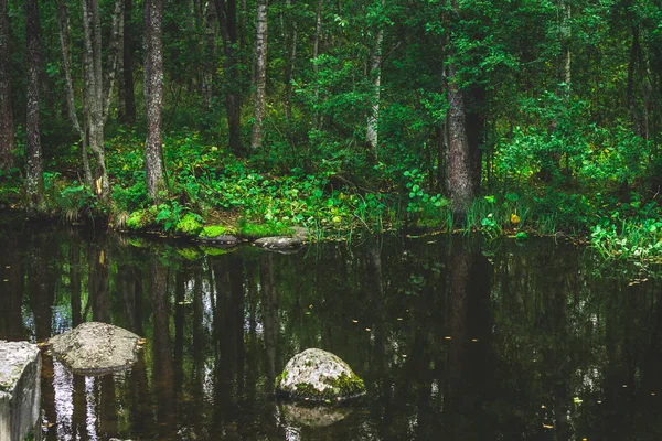 Egy hegyi patak, a gyors folyó egy zöld nyári erdőben. — Stock Fotó