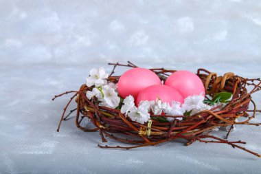 Pembe ve mor Paskalya yumurtaları bir yuvaya gri beton zemin üzerine beyaz çiçekli.