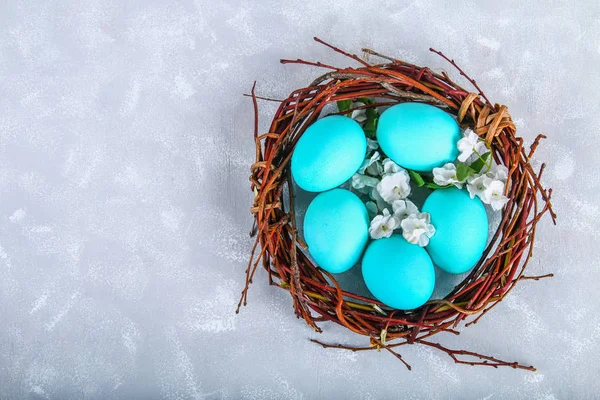 Oeufs de Pâques bleus dans un nid avec des fleurs blanches sur un fond de béton gris . — Photo