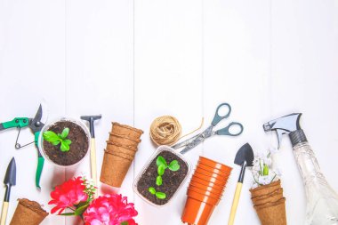 Bahçe aletleri, tencere, fidan bir beyaz tahta masada. Uzay kopyalayın. Üstten Görünüm.