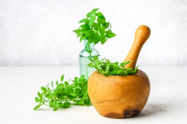 Hafif bir arka plan üzerinde ahşap bir harç yeşil limon fesleğen. Fesleğen şişe.