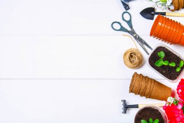 Bahçe aletleri, tencere, fidan bir beyaz tahta masada. Uzay kopyalayın. Üstten Görünüm.