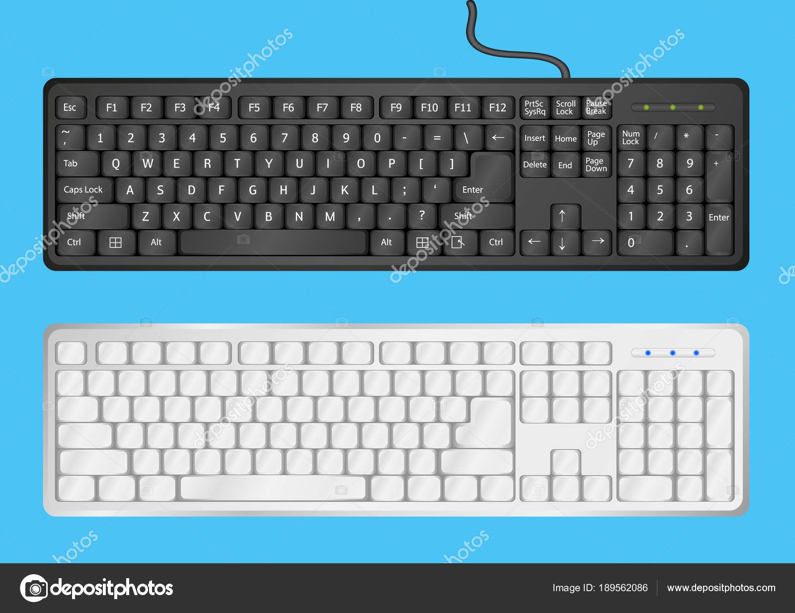 White and Black computer keyboards on blue background. Vector