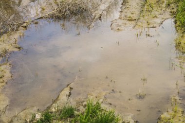 çamur ve kil, offroad, geçilmez orman yolu.
