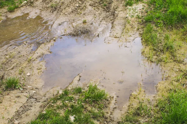 Oframkomliga skog road av lera och lera, offroad. — Stockfoto