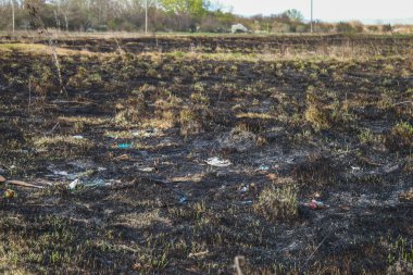 Yanmış otların küllerinden arkaplan. Yangın çıktıktan sonra tarlaya kül ekin..