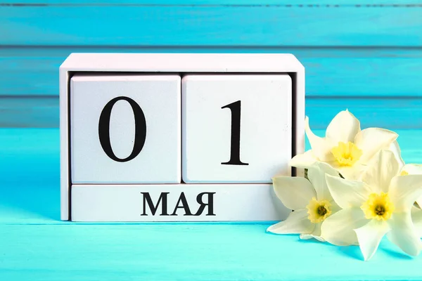 Beyaz ahşap takvim ile Rusya metinler: 1 Mayıs. Nergis mavi ahşap bir masa üzerinde beyaz çiçekler. İşçi Bayramı ve Bahar. — Stok fotoğraf