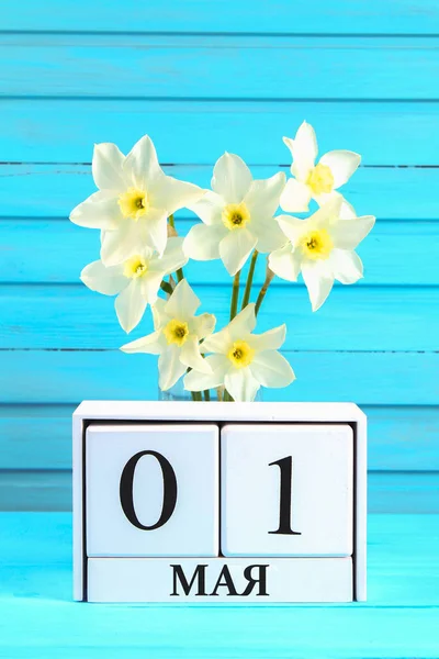 Białe drewniane kalendarz z tekstem na rosyjski: 1 maja. Białe kwiaty żonkile na niebieskim drewnianym stole. Święto pracy i wiosna. — Zdjęcie stockowe