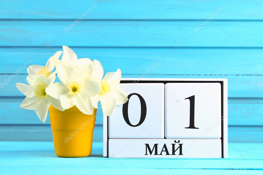 White wooden calendar with the text on russian: May 1. White flowers of daffodils on a blue wooden table. Labor Day and Spring.