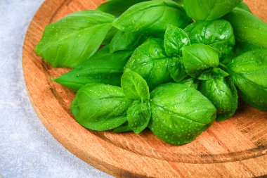 Yeşil taze ev yapımı fesleğen, gri beton masada bir kesme tahtası üzerinde baharatlı ot.