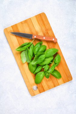 Yeşil taze ev fesleğen, gri beton masada bir bıçakla kesme tahtası üzerinde baharatlı ot.