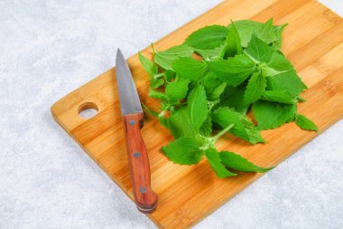 Taze yeşil ısırgan yaprakları gri beton masada bir bıçakla kesme ahşap tahta üzerinde.