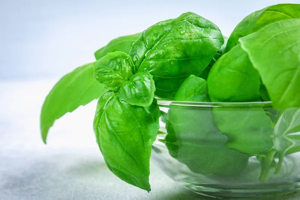 Yeşil taze ev yapımı fesleğen, gri beton masada bir cam kasede baharatlı ot.