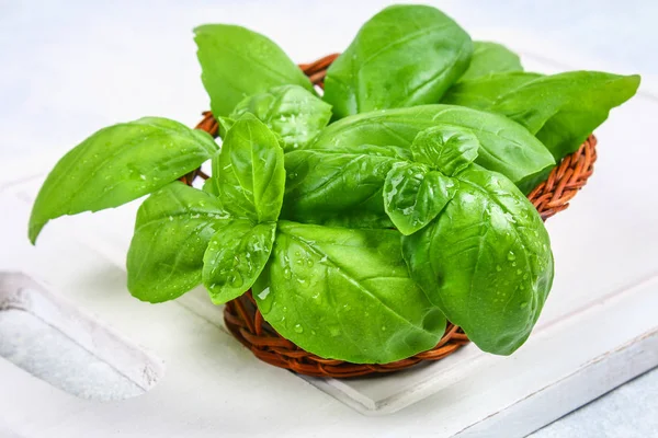 Green home basil, spicy herb in a basket.